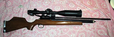 click for enlarge 1024 X 334 109,3 Kb picture