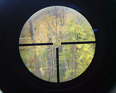 click for enlarge 1500 X 1200 946.1 Kb picture