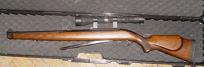 click for enlarge 1200 X 394 88,7 Kb picture