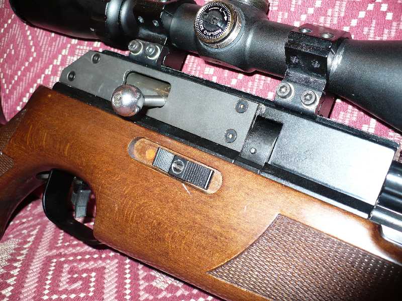 800 x 600