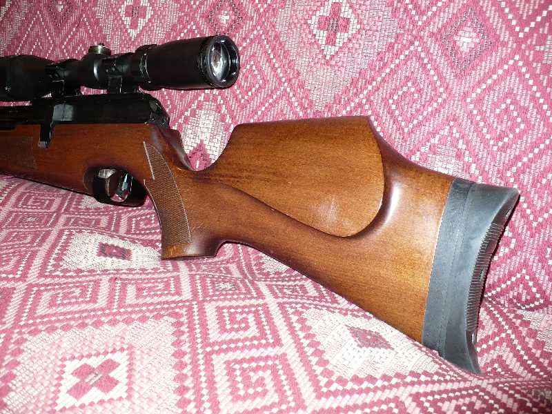 800 x 600