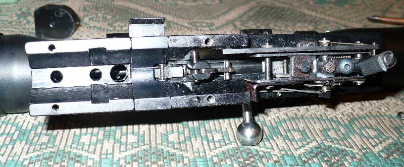 800 x 331