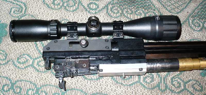 800 x 369