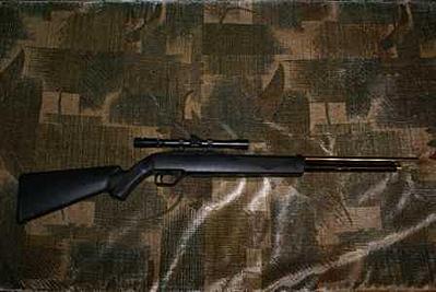 click for enlarge 448 X 300  19.1 Kb picture