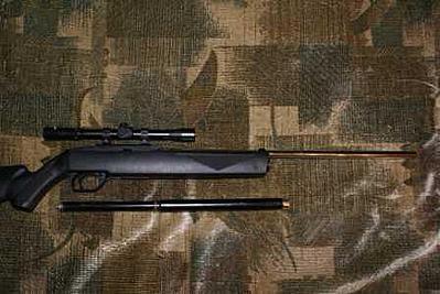 click for enlarge 448 X 300  23.0 Kb picture