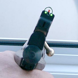 click for enlarge 315 X 315 31.6 Kb picture
