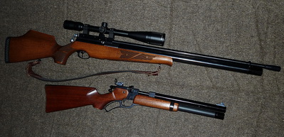 click for enlarge 1225 X 592 384,5 Kb picture