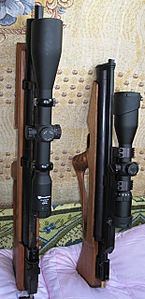 click for enlarge 310 X 640  71.2 Kb picture