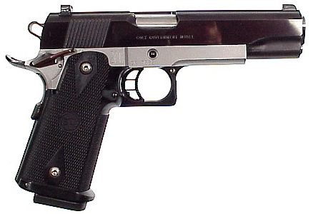 445 x 300