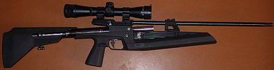 click for enlarge 1200 X 305  66.8 Kb picture