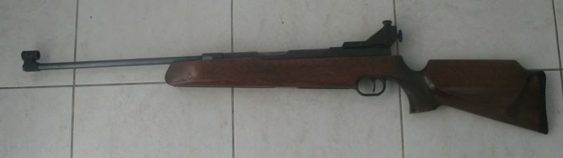 800 x 225