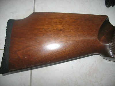 click for enlarge 800 X 600 87,3 Kb picture
