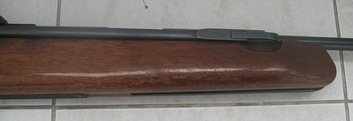 click for enlarge 800 X 275 43,5 Kb picture