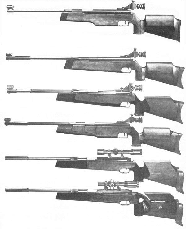 600 x 737