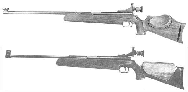 600 x 294