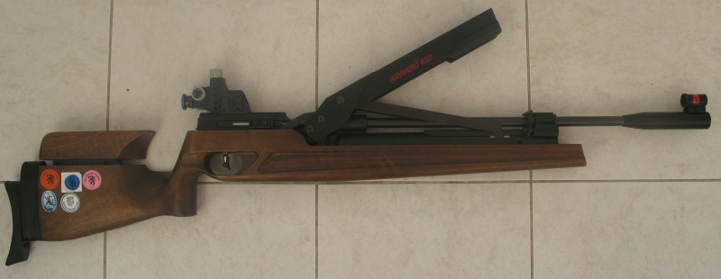 800 x 310