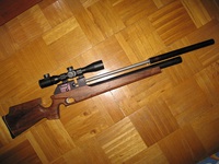 click for enlarge 1024 X 768 244,2 Kb picture