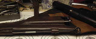 click for enlarge 1920 X 785 71,4 Kb picture