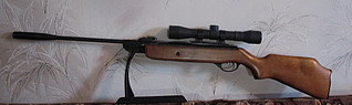 click for enlarge 1024 X 305 92,9 Kb picture