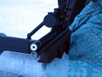 click for enlarge 800 X 600 204,0 Kb picture