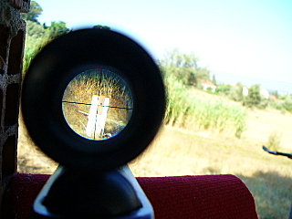click for enlarge 640 X 480 147,4 Kb picture