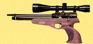 click for enlarge 525 X 250 9,9 Kb picture