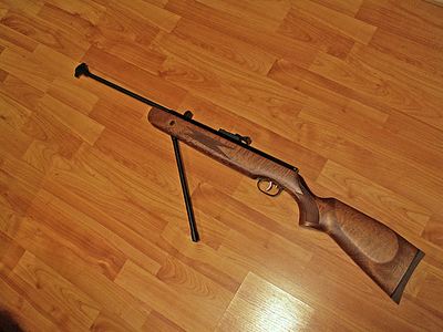 click for enlarge 640 X 480 370.5 Kb picture