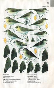 ������� ��������, ������� ���������, ������� ��������� �������������������, ������� ��������� ���������, ������� ��������, ������� �������, ������� ������, ������� ��������, ������� �����������, ������� �����, ������� ������������